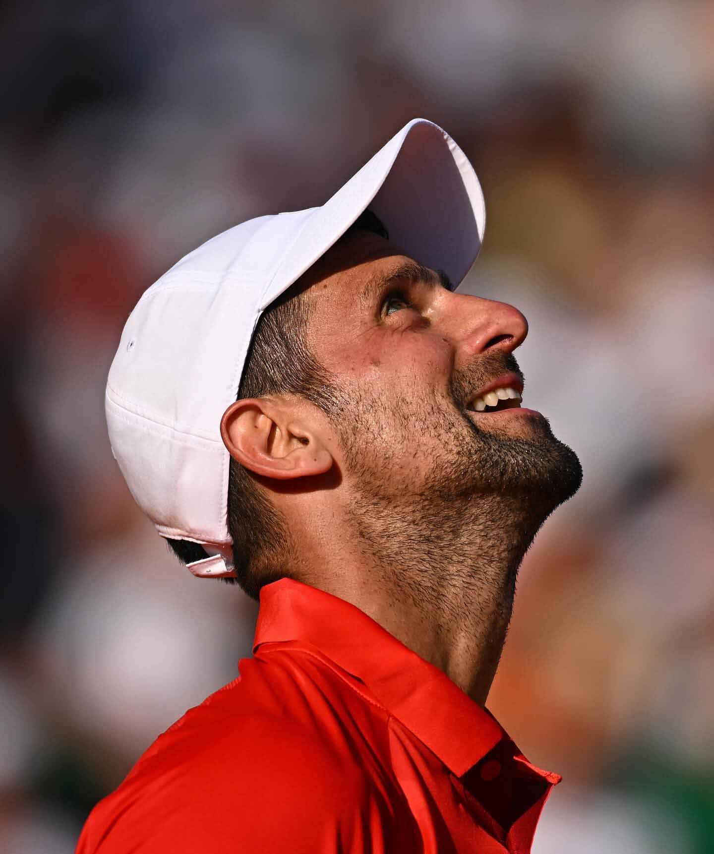 Novak Djokovic at Monte-Carlo Masters 2024